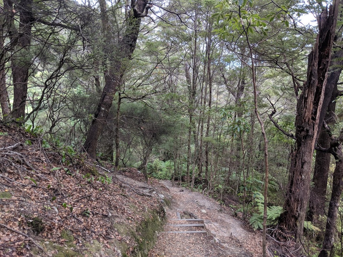 Zig-zags at the start of the spur