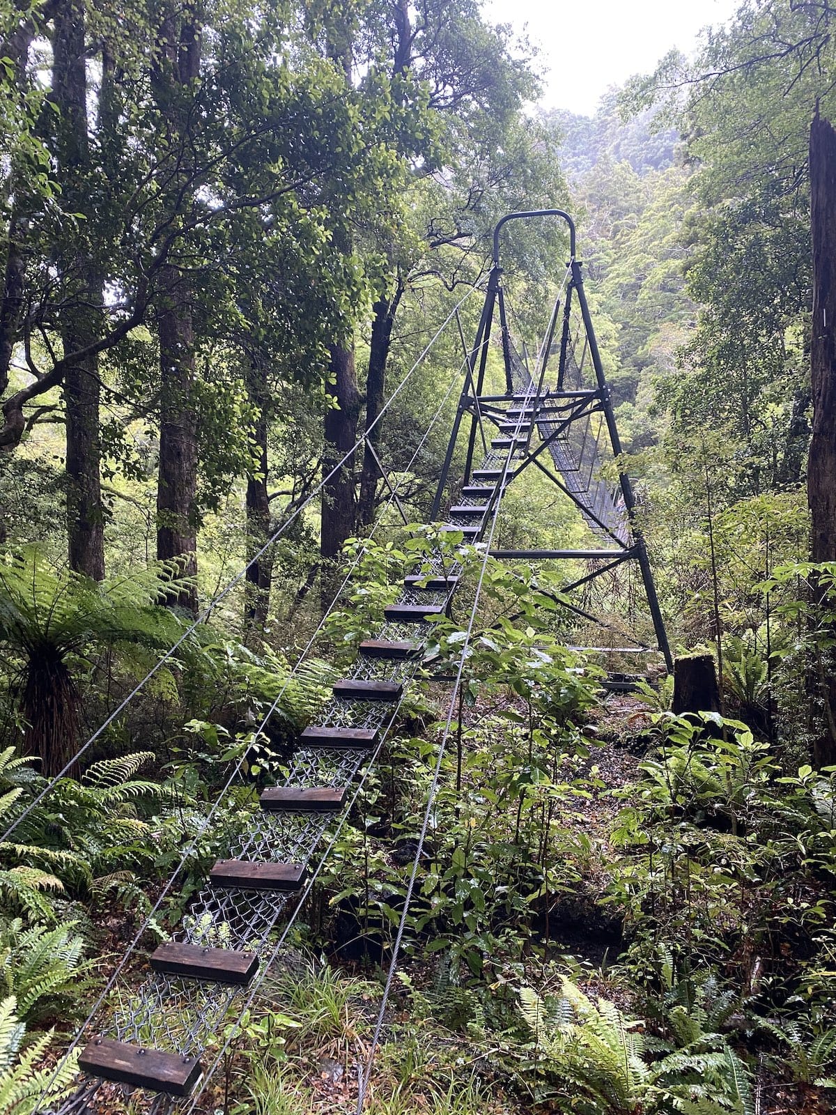 Swingbridge over Atiwhakatu
Stream