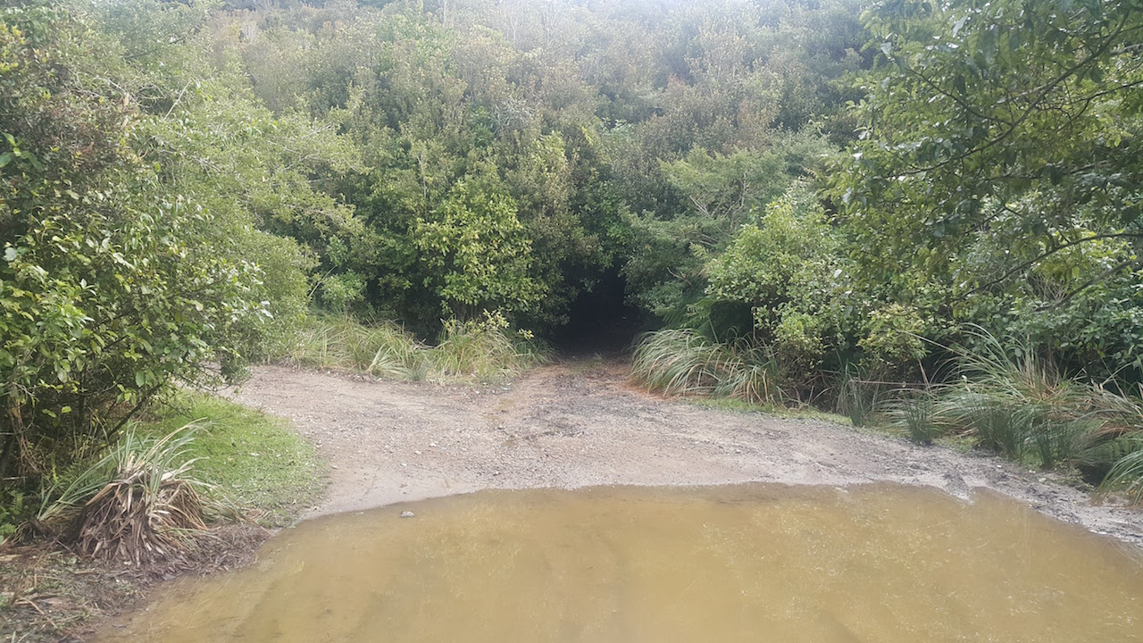 Frequent forks in the track along the Waiotauru Road section