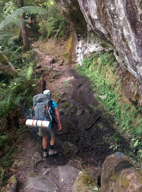 A bit of a mud bog on the Waikaremoana Track